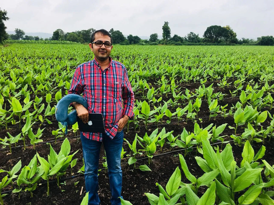 Returning to the Family Farm